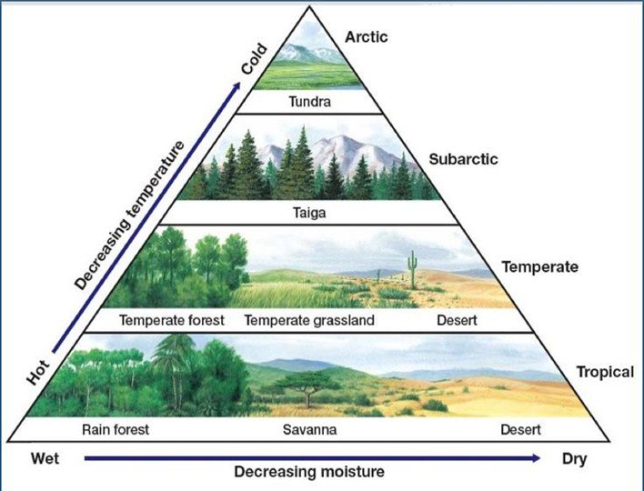 Biomes graphic