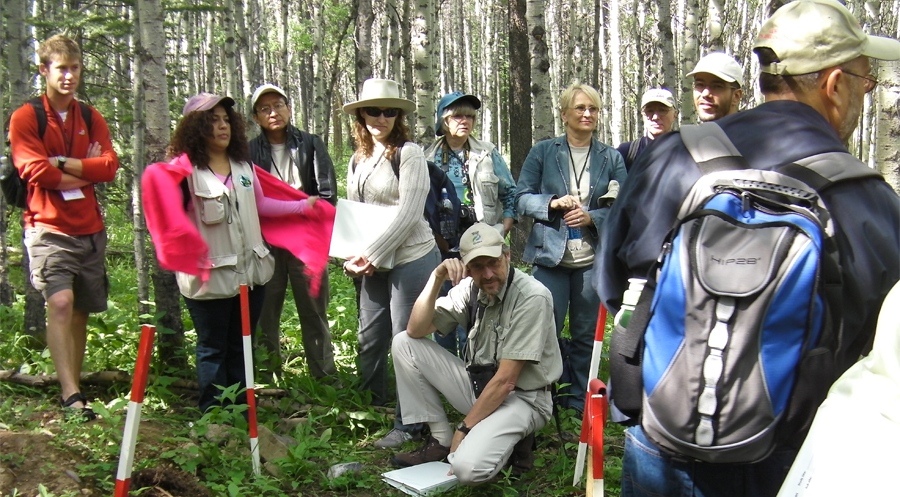 A group of people in a forest, standing around markers in the ground.