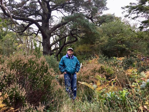 Man standing in the woods surrounded by plants and trees.
