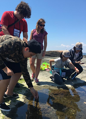 Children exploring a tide pool