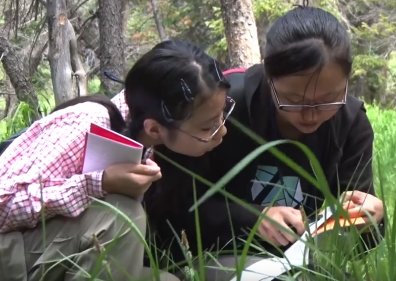 Children in grass looking at documents.