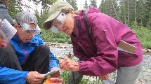 Scientists working with GLOBE in the field.