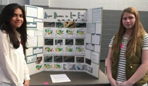 Students at a science poster session