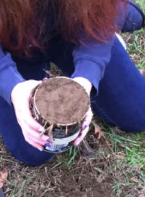 GLOBE student working in the soil