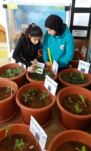 Ibn Rushd Primary School students