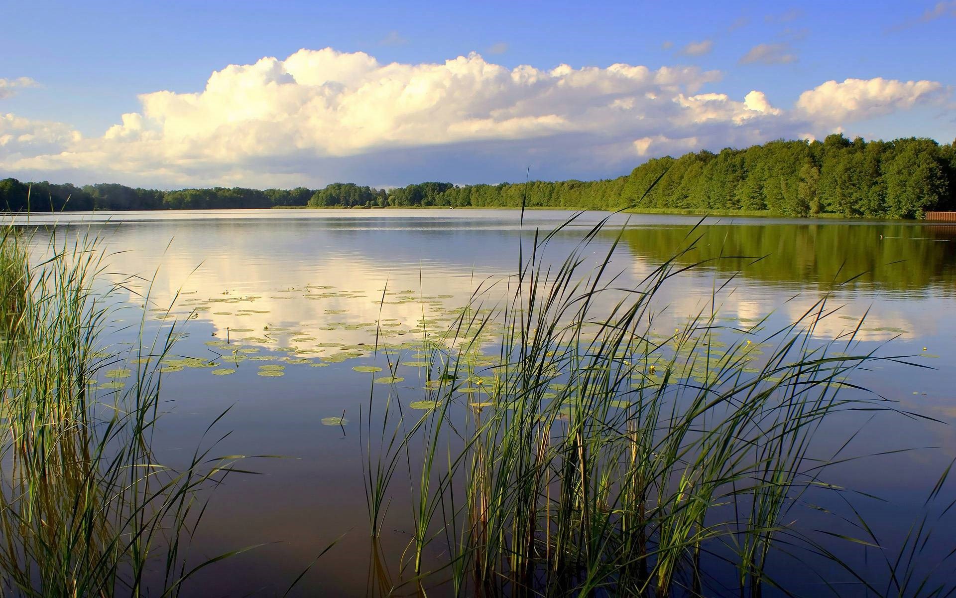 Photo of a lake