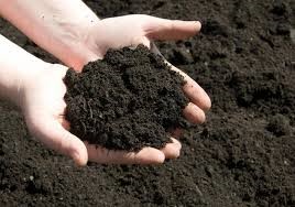 Hands with dirt