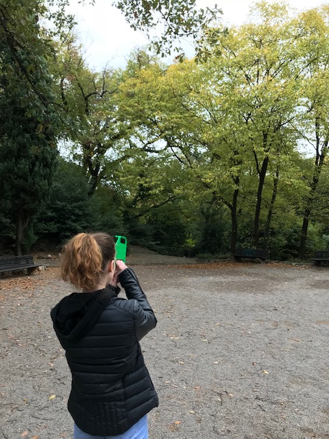 Students in Croatia engaging in a two-year tree study