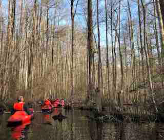 Photo, by Rusty Low, showing community members seeking mosquitoes in a lake