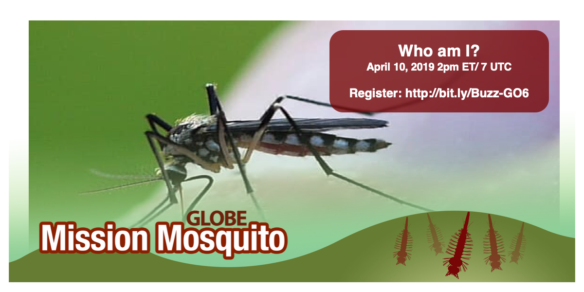 GLOBE Mission Mosquito webinar shareable