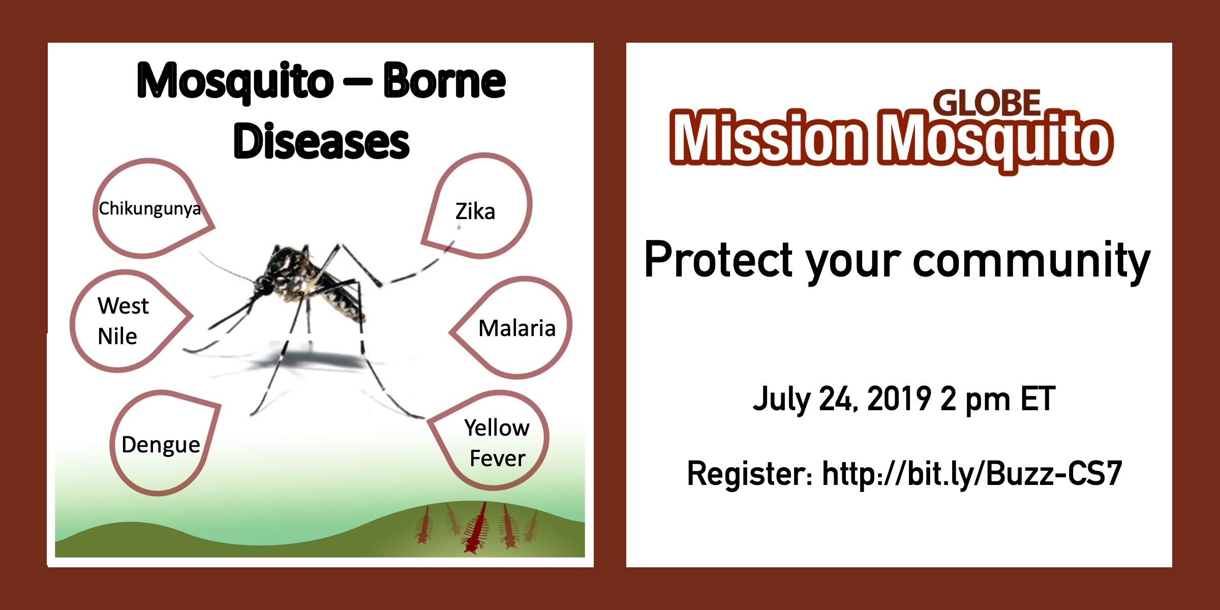 GLOBE Mission Mosquito webinar shareable