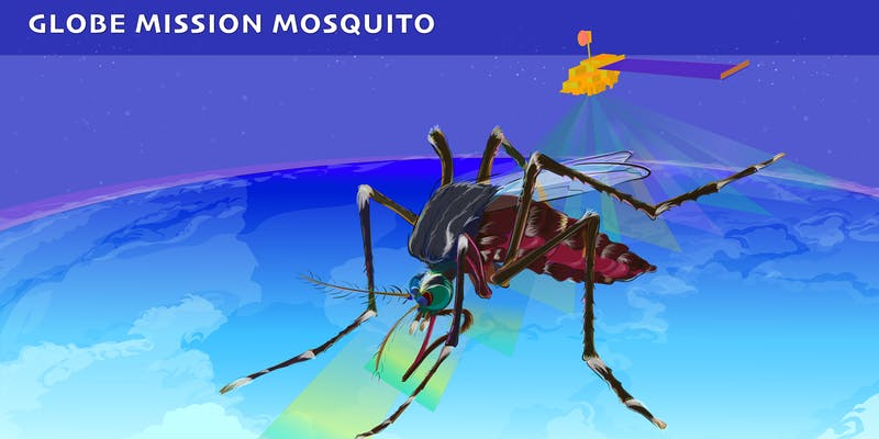 Graphic of a mosquito