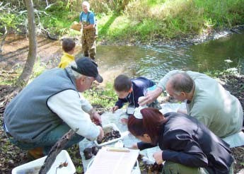 Photo of people working to monitor macroinvertebrates