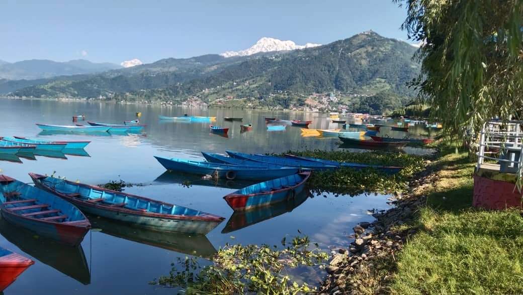 View of the surroundings, from Lake Fewa