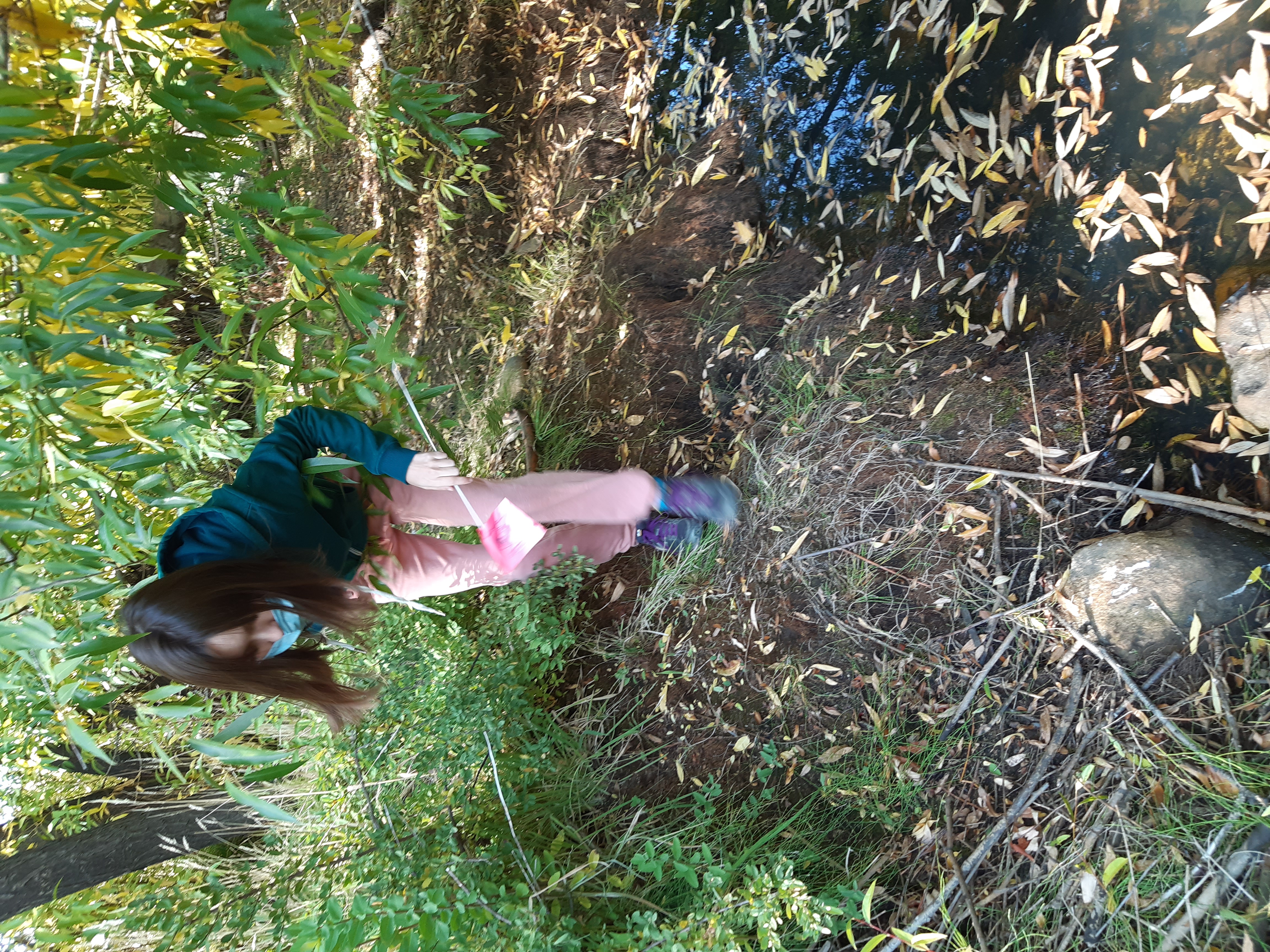 GLOBE Argentina student Marianela studying mosquito habitats