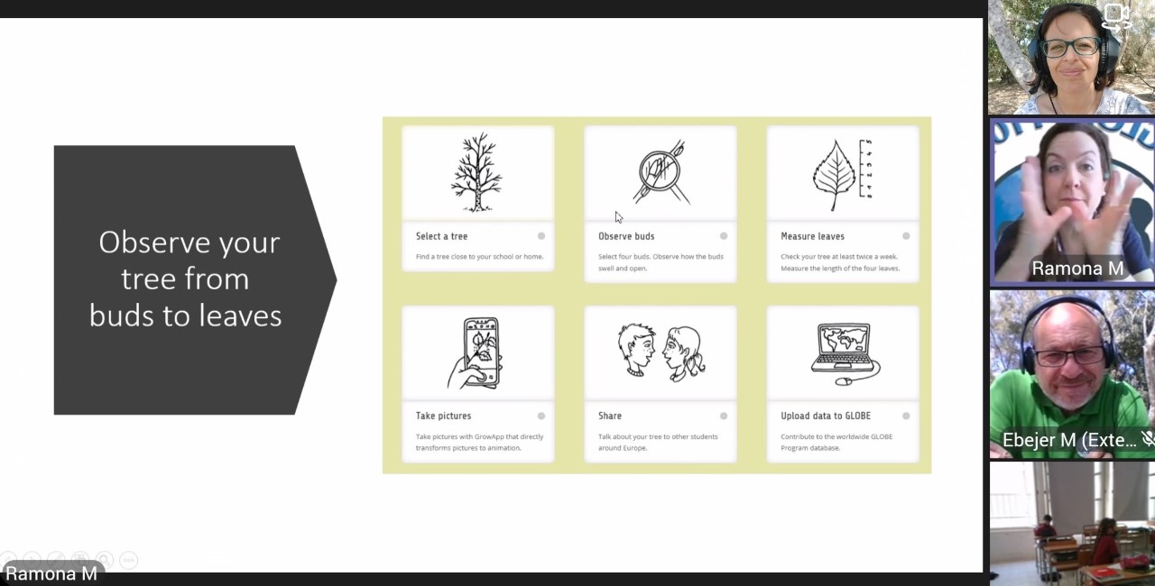 Slide from the virtual field work session that reads "Observe your tree from buds to leaves: showing small graphics of that process and the photos of session participants