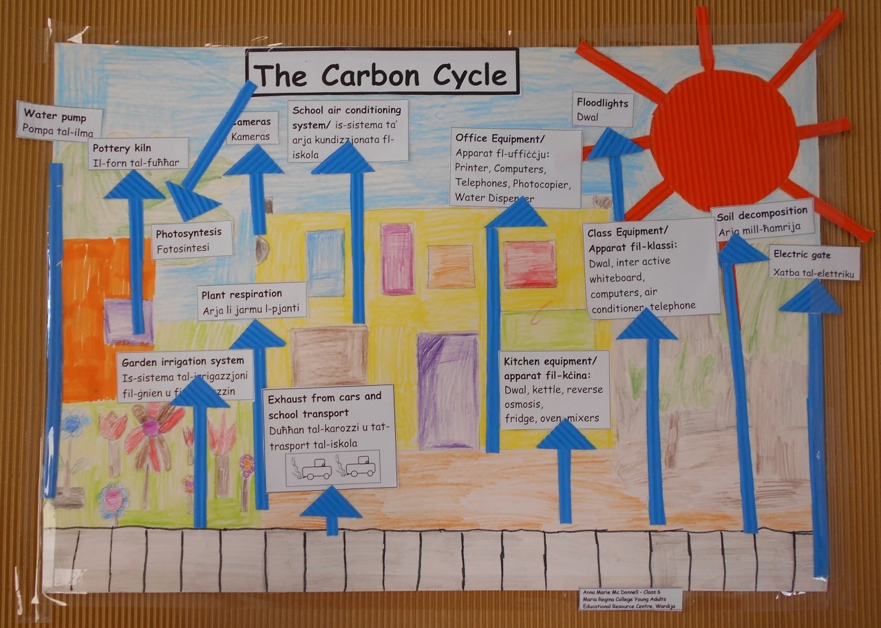 Photo of a handmade graphic of the Carbon Cycle