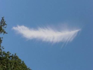 Photo of a cloud that looks like a feather.(Photo Credit: Kabanets Veronika) 