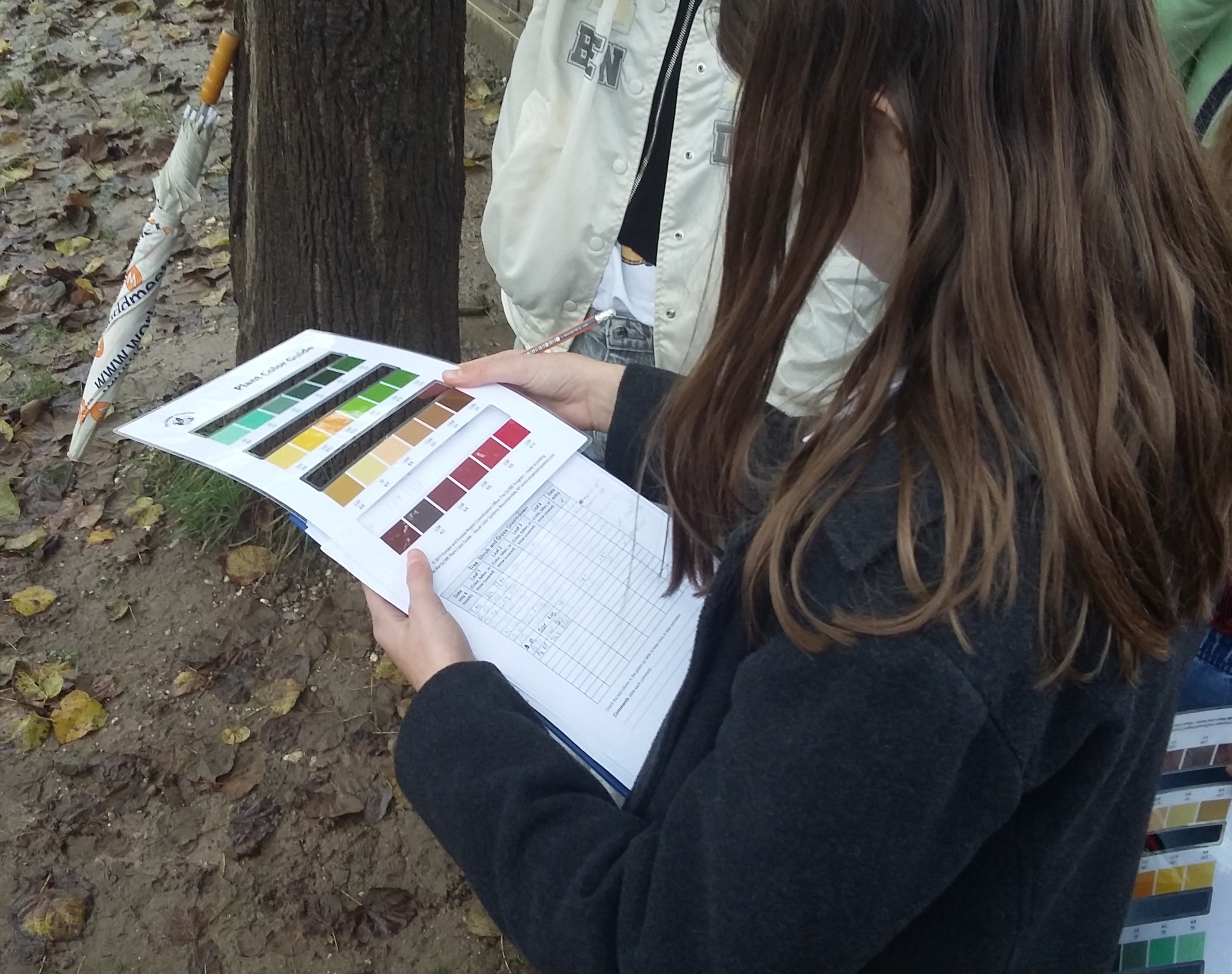 Student records data of green-down measurements of a birch tree at Primary School Venclja Perka, Slovenia.