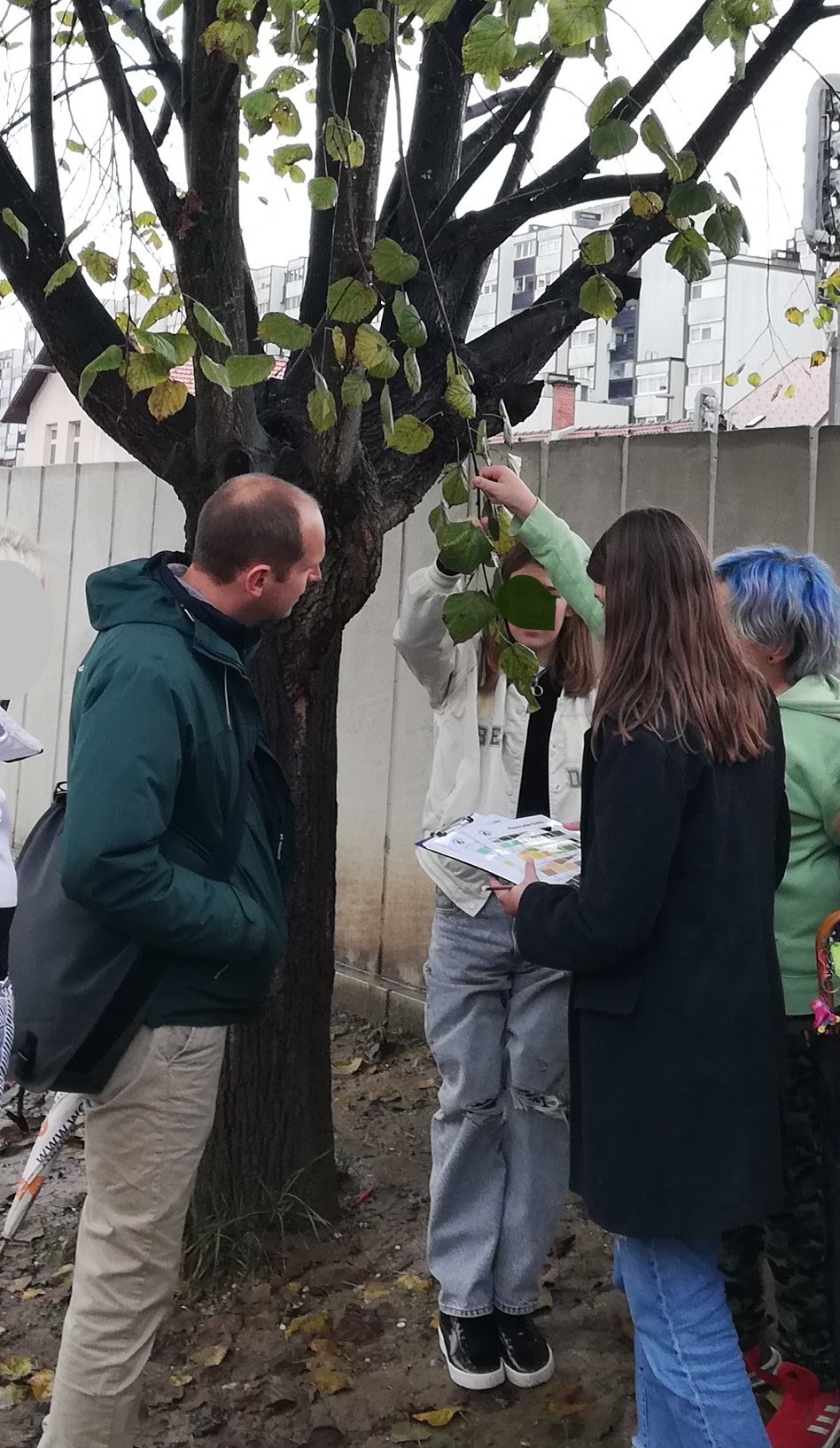 During a school visit, Niels Brouwers observes how students are taking green-down measurements of a linden tree at Primary School Venclja Perka, Slovenia.