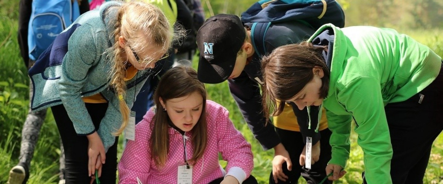A group of children reading and observing nature.