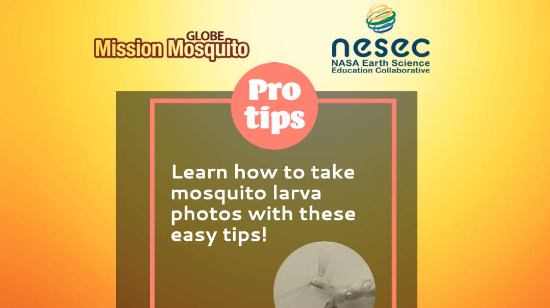 Tomorrow (11 August) GLOBE Mission Mosquito Webinar: “Pro Tips”