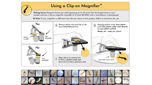 Images from The GLOBE Program’s app, Mosquito Habitat Mapper’s 2021 Mosquito Habitat Photo Challenge.