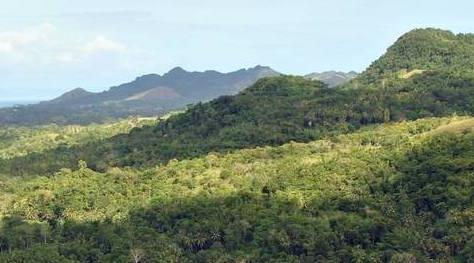 The Trees Around the GLOBE 16 November webinar shareable