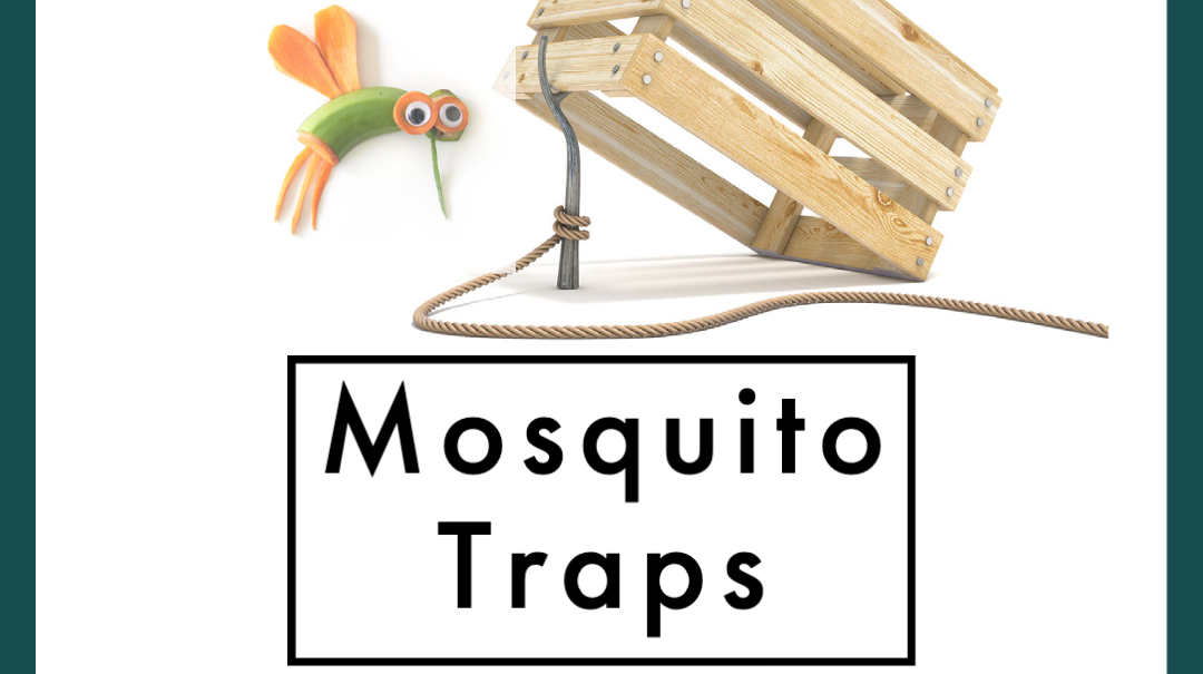 GMM 09 June webinar shareable, showing a mosquito about to enter a trap!