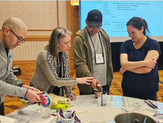 Two men and two women standing around a table using a purple calibration thermometer in ice water in one beaker while also using an infrared thermometer to check surface temperature in another beaker