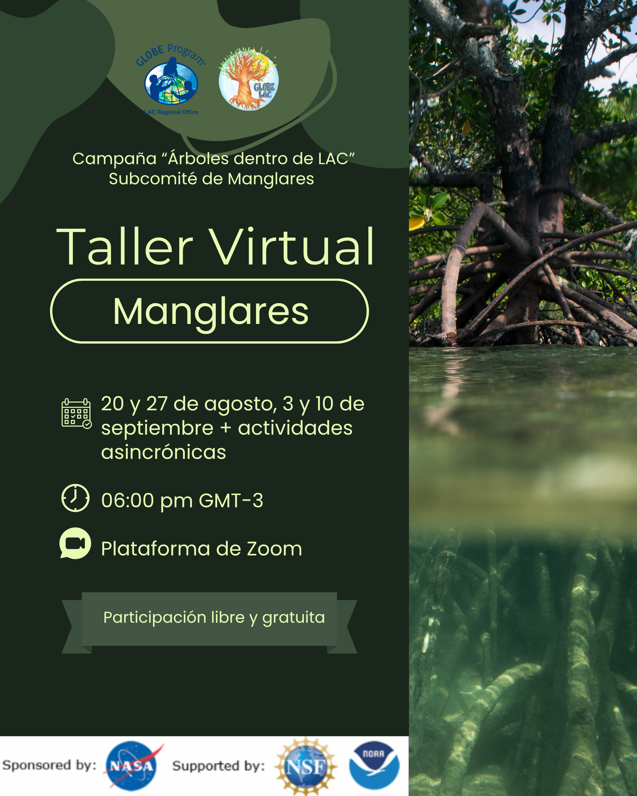 Mangroves bundle workshop flyer.