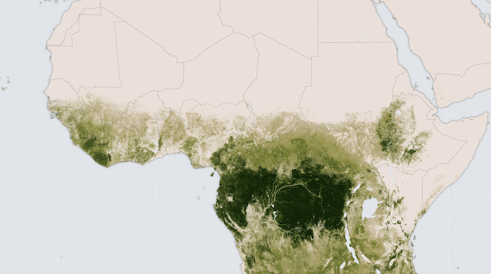 07 December Trees Around the GLOBE webinar shareable, showing a tree and a map of Africa