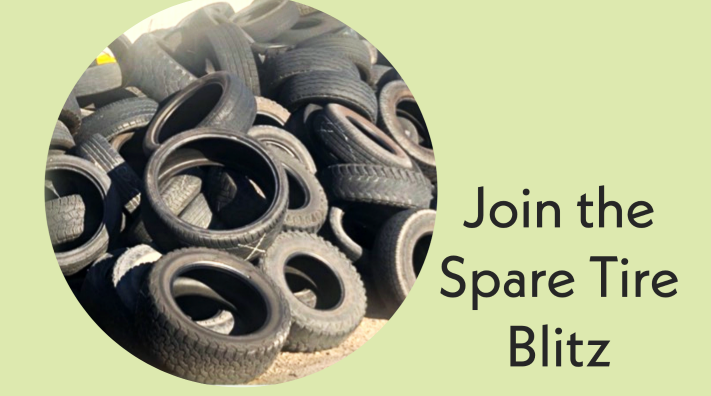 GLOBE Mission Mosquito 10 March webinar shareable, showing a pile of discarded tires