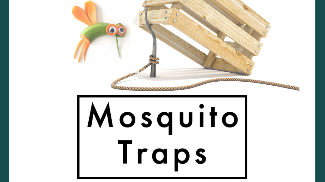 GMM 09 June webinar sharable, showing a mosquito about to enter a trap!