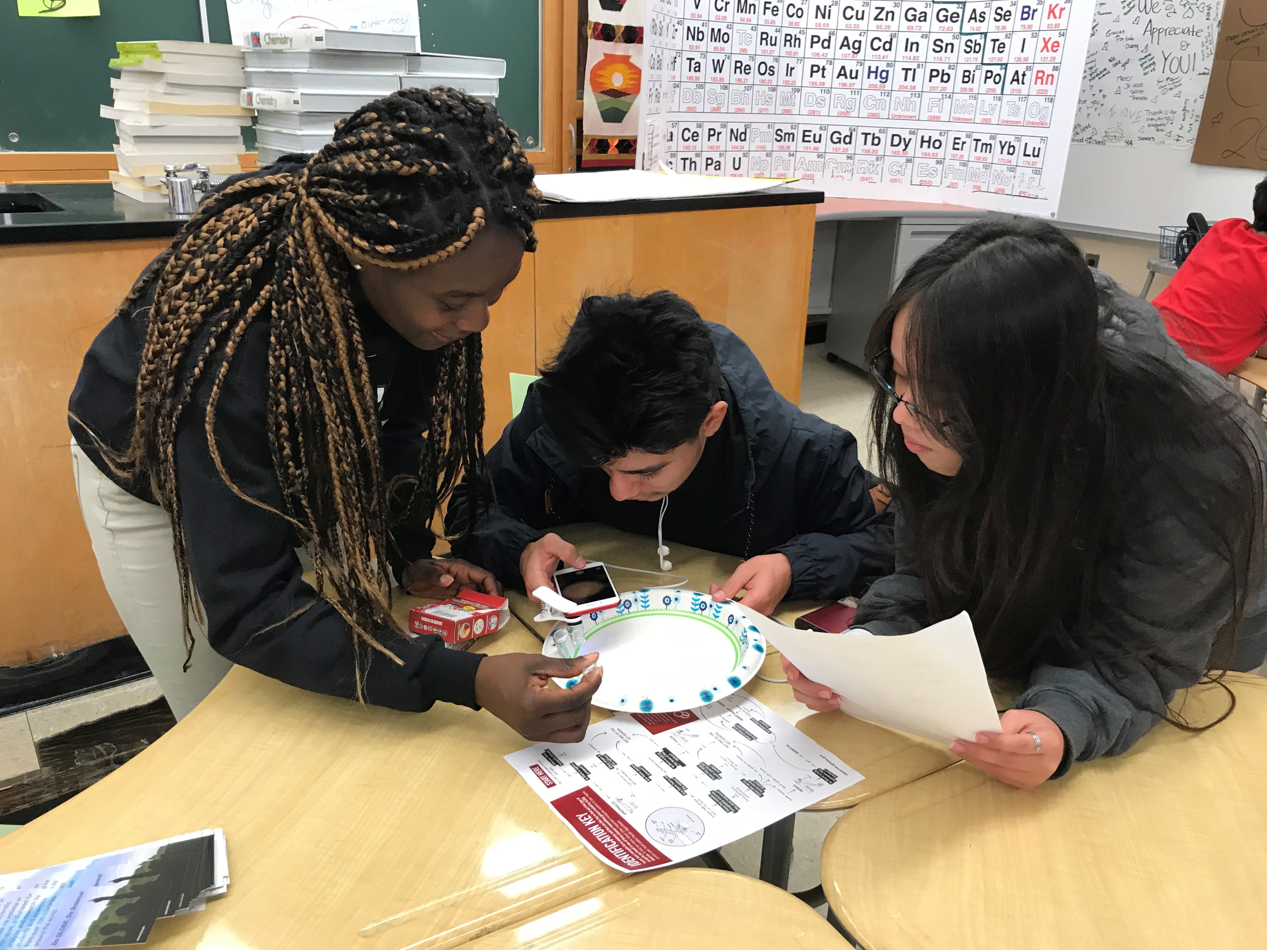 Three students work on a science experiment together at a table.