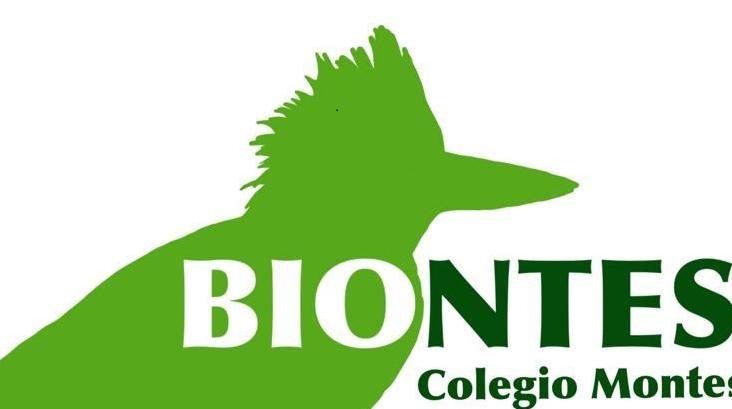 Colegio Montessori of Cartagena Biontressori´s Logo