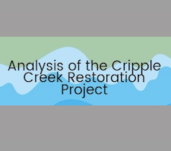 Analysis of the Cripple Creek Restoration Project title banner