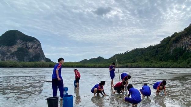 Seagrass Planting