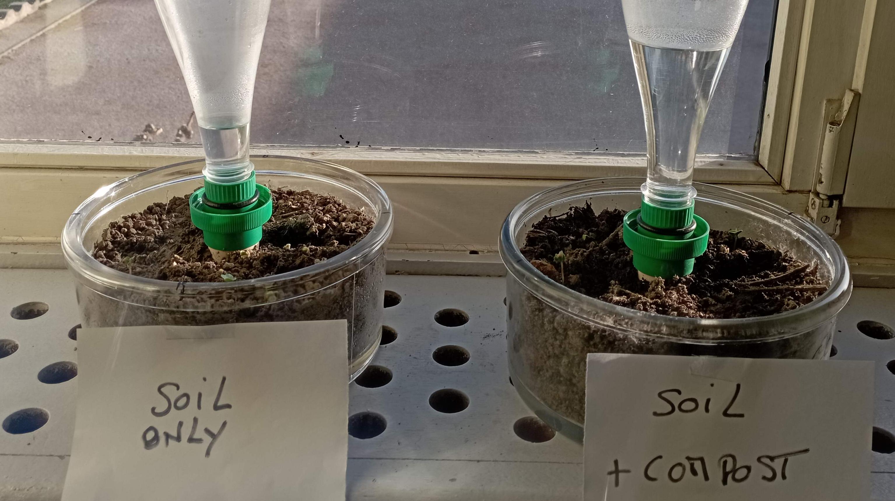 Compost saving water