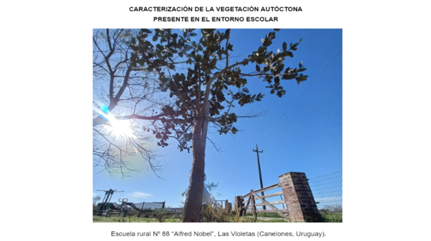 Caracterización vegetación autóctona