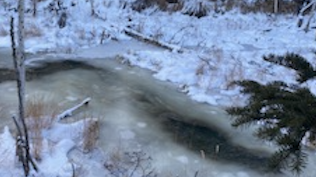 Creek starting to freeze in winter