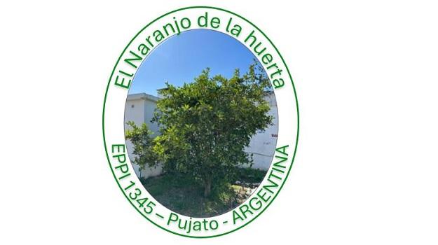 Se muestra una foto del Naranjo de la huerta, objeto de estudio y se menciona la escuela, localidad y país