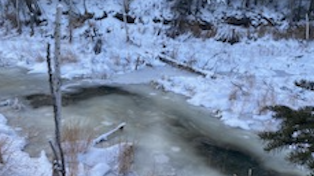 Ice forming on the Cripple Creek Channel in Fairbanks, Alaska