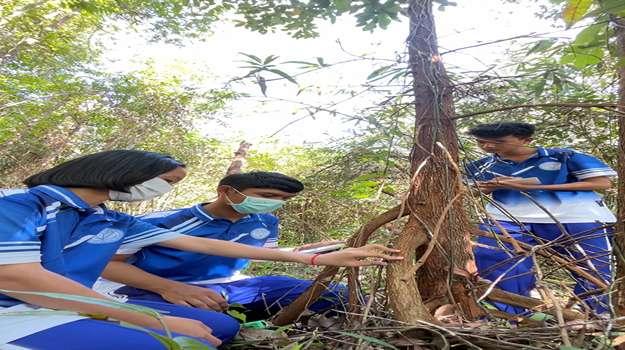 Our collaborations the lichens discovery in Thung Khai Botanic Garden Trang, Thailand.