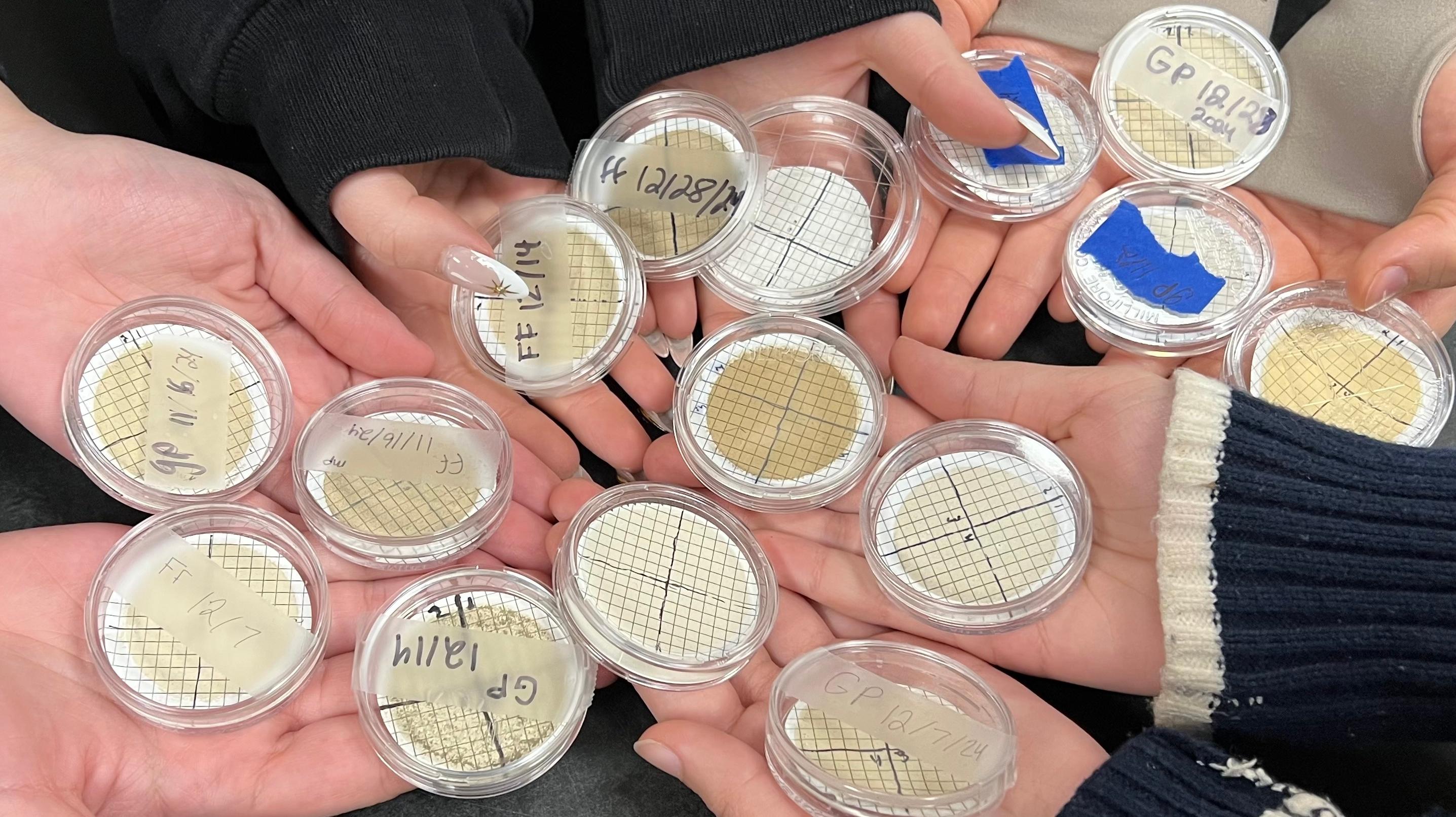 Petri dishes
