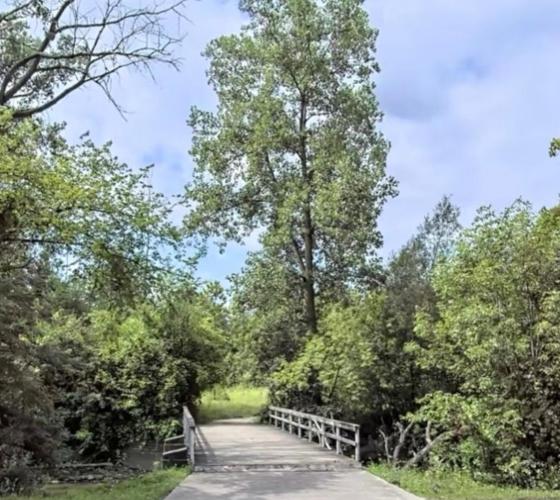 Floodplain trees