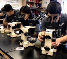 Students using microscopes