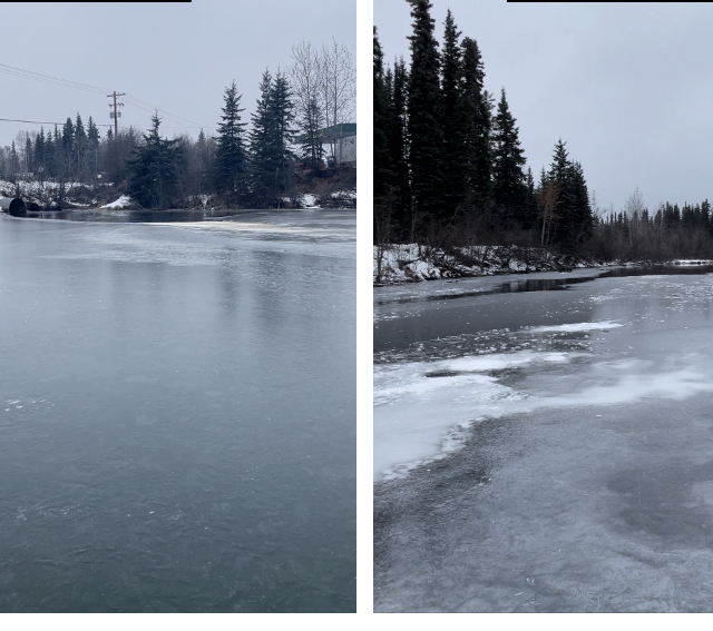 Urban slough on left and rural slough on right in Alaska. Photos by K. Banister