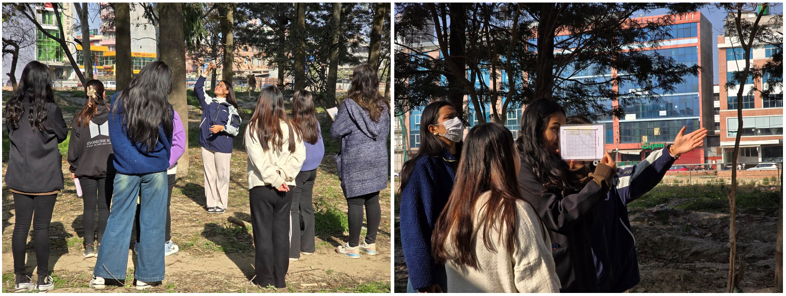 Group outside learning about land cover. Group outside calculating tree height.