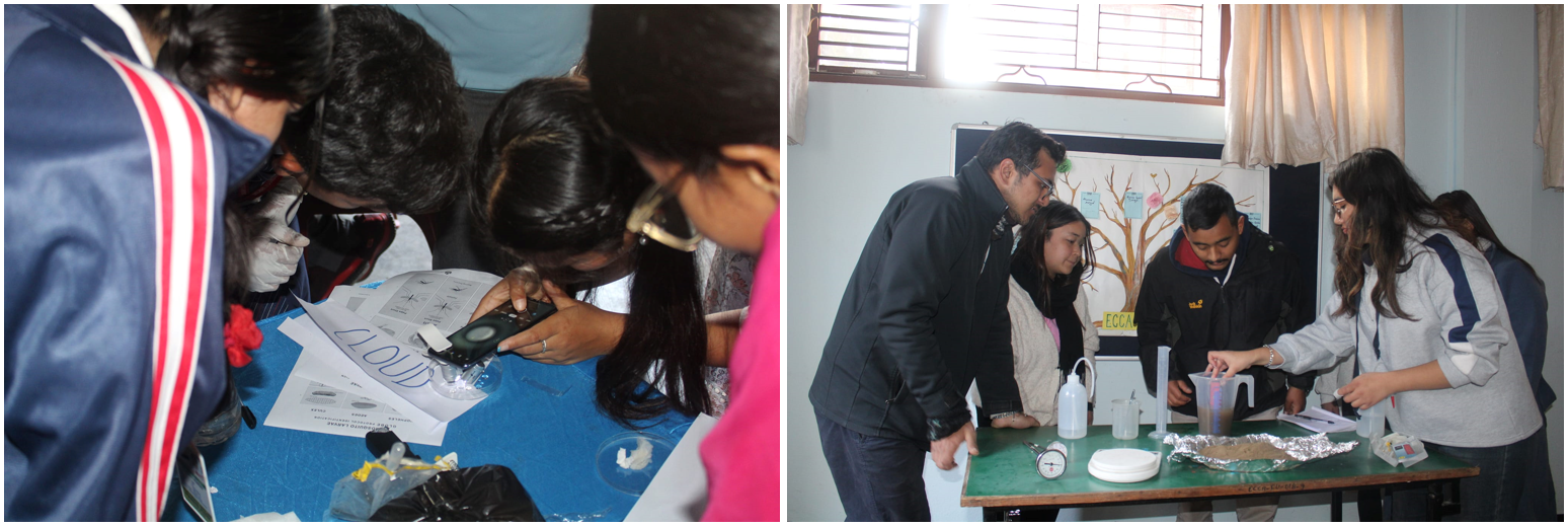 Group viewing mosquito using microlense. Group studying sample from pedosphere.